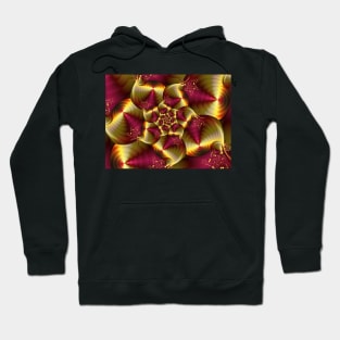 Pink and Gold Spiral Hoodie